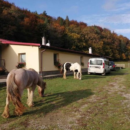 Oddychovy Pobyt Na Rodinnej Farme Matiaska Zewnętrze zdjęcie