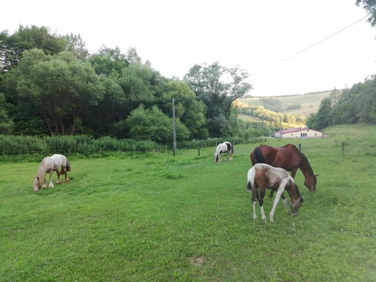 Oddychovy Pobyt Na Rodinnej Farme Matiaska Zewnętrze zdjęcie