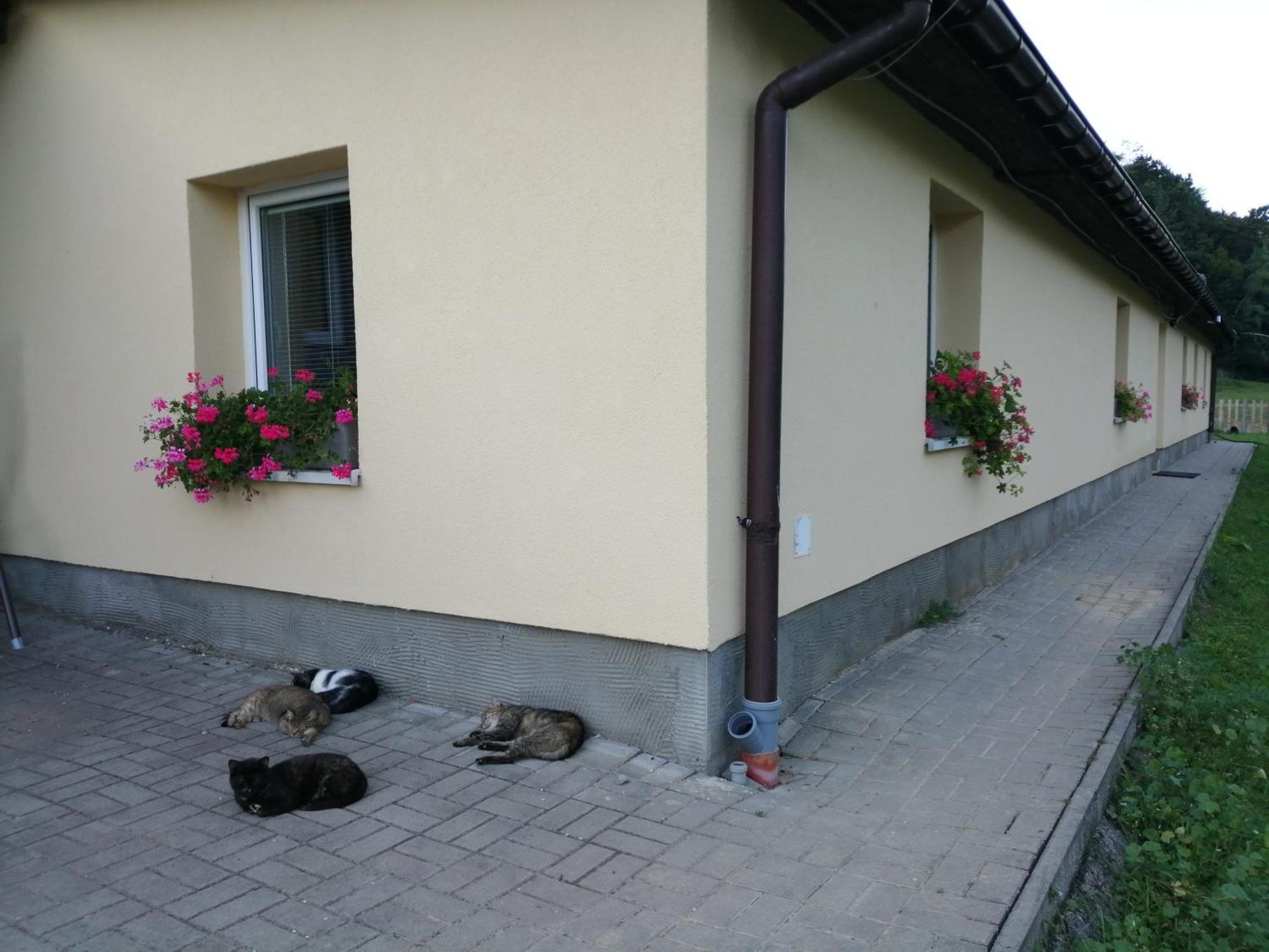 Oddychovy Pobyt Na Rodinnej Farme Matiaska Zewnętrze zdjęcie