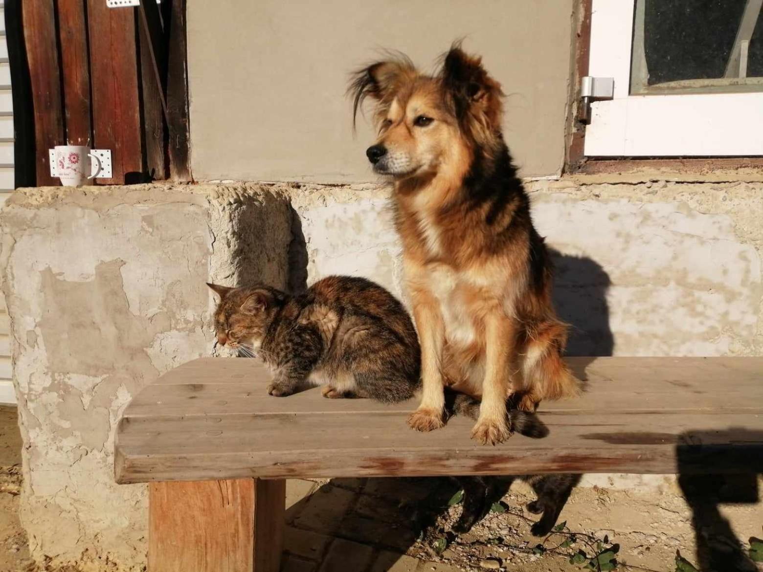 Oddychovy Pobyt Na Rodinnej Farme Matiaska Zewnętrze zdjęcie